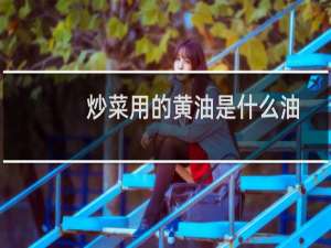炒菜用的黄油是什么油