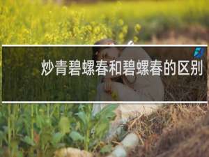 炒青碧螺春和碧螺春的区别