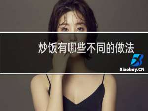 炒饭有哪些不同的做法（炒饭有哪些品种）