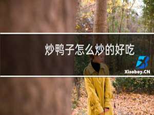 炒鸭子怎么炒的好吃