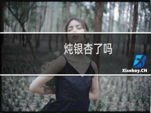 炖银杏了吗