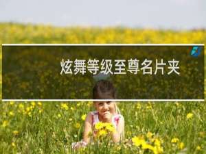 炫舞等级至尊名片夹