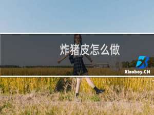 炸猪皮怎么做