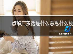 点解广东话是什么意思什么梗