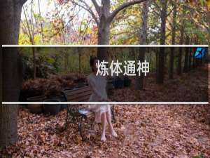 炼体通神