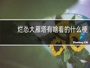 烂怂大雁塔有啥看的什么梗？烂怂大雁塔有啥看的是什么意思什么梗