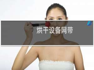 烘干设备网带