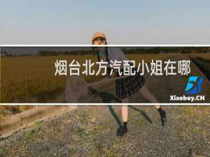 烟台北方汽配小姐在哪
