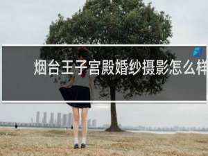 烟台王子宫殿婚纱摄影怎么样