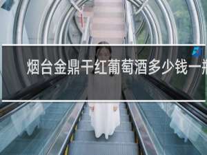 烟台金鼎干红葡萄酒多少钱一瓶