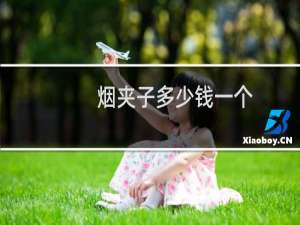 烟夹子多少钱一个