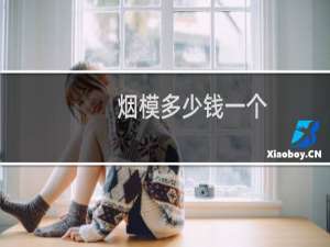 烟模多少钱一个