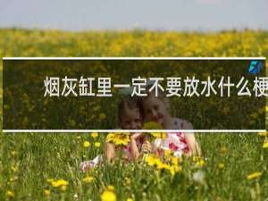 烟灰缸里一定不要放水什么梗
