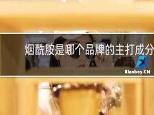 烟酰胺是哪个品牌的主打成分