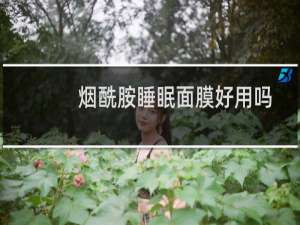 烟酰胺睡眠面膜好用吗