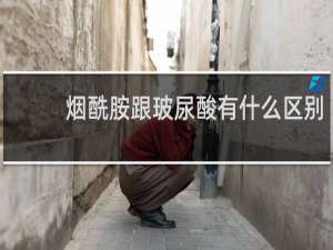 烟酰胺跟玻尿酸有什么区别