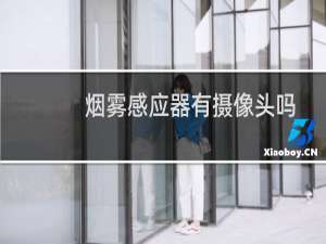 烟雾感应器有摄像头吗