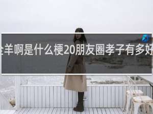 烤全羊啊是什么梗 朋友圈孝子有多好笑什么梗