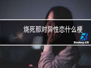 烧死那对异性恋什么梗？烧死那对异性恋是什么意思什么梗