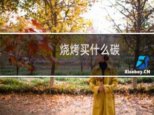 烧烤买什么碳