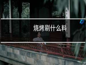 烧烤刷什么料