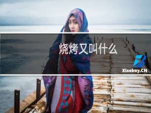 烧烤又叫什么