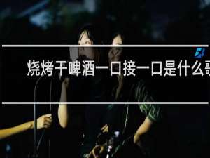 烧烤干啤酒一口接一口是什么歌