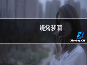 烧烤梦啊