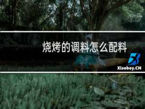 烧烤的调料怎么配料