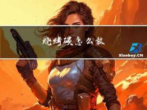 烧烤碳怎么放