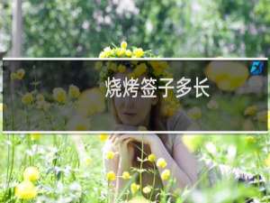 烧烤签子多长