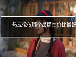 热成像仪哪个品牌性价比最好