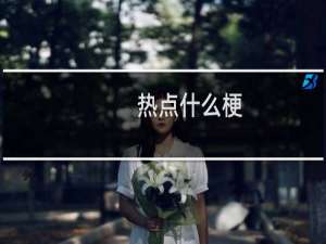 热点什么梗