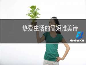 热爱生活的简短唯美诗（热爱生活的简短句子）