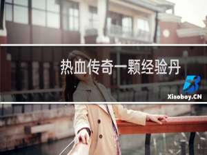 热血传奇一颗经验丹