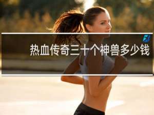 热血传奇三十个神兽多少钱