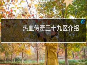 热血传奇三十九区介绍
