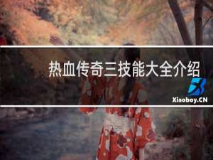 热血传奇三技能大全介绍