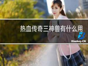 热血传奇三神兽有什么用