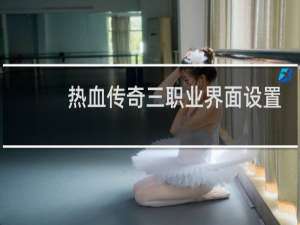 热血传奇三职业界面设置