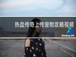 热血传奇上传宠物攻略视频