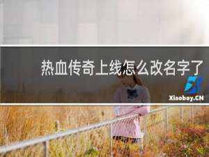 热血传奇上线怎么改名字了