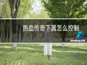 热血传奇下属怎么控制