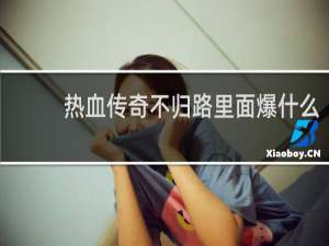 热血传奇不归路里面爆什么