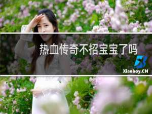 热血传奇不招宝宝了吗