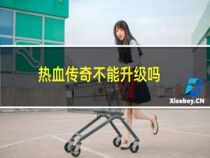 热血传奇不能升级吗