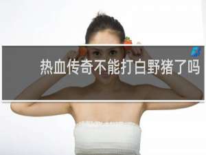 热血传奇不能打白野猪了吗