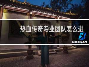 热血传奇专业团队怎么进