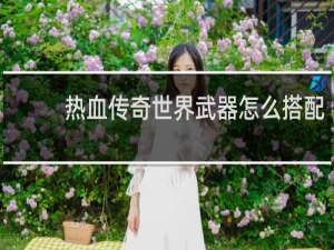 热血传奇世界武器怎么搭配