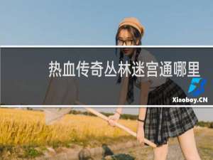 热血传奇丛林迷宫通哪里